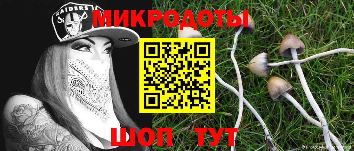 Галлюциногенные грибы Magic Shrooms Ирбит